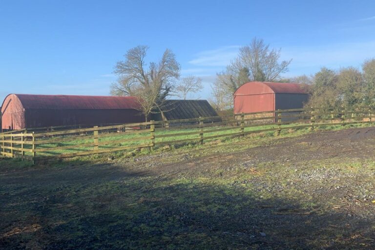 Fixing Farm Shed in Carlow