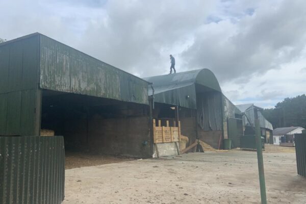Cleaning Shed in Waterford